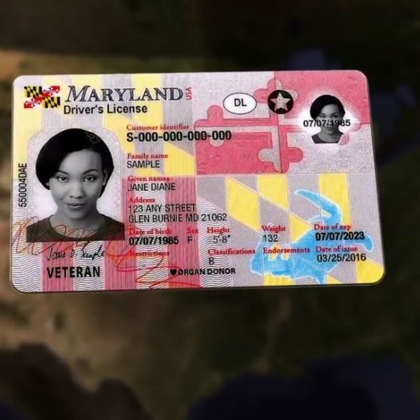 Buy Maryland Driver License For Sale Buy Maryland Driver License For Sale