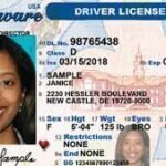 Delaware Driver License and ID Cards printing available