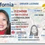 California Driver License and ID Cards for sale
