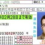 Japan Fake Driver’s License for Sale