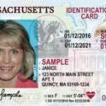 Buy Authentic Massachusetts Driver License and ID Cards online