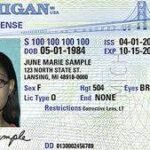 Order Michigan Driver License and ID Cards