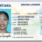 Order Montana Driver License and ID Cards