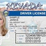 Purchase registered Nevada Driver Licenses and ID Cards